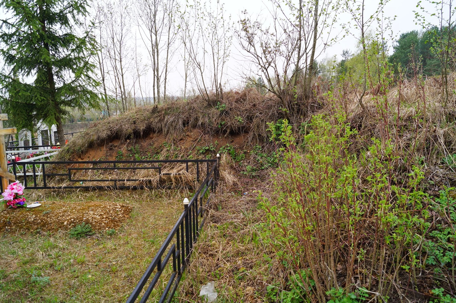 Вынесен приговор "гнездовскому захватчику" - "Важное в Ярцеве"