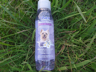 Ma deuxième Doggy box de juillet Ma deuxième Doggy box de juillet