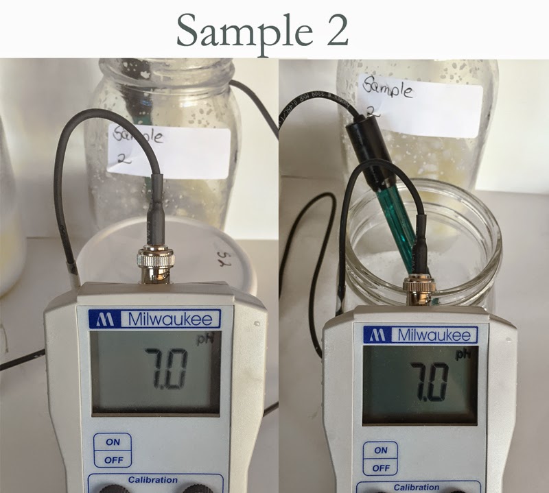 Alaiyna B. Bath and Body pH testing of liquid soap and lowering pH