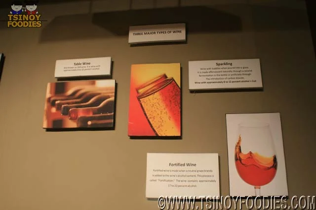 wine museum wine museum