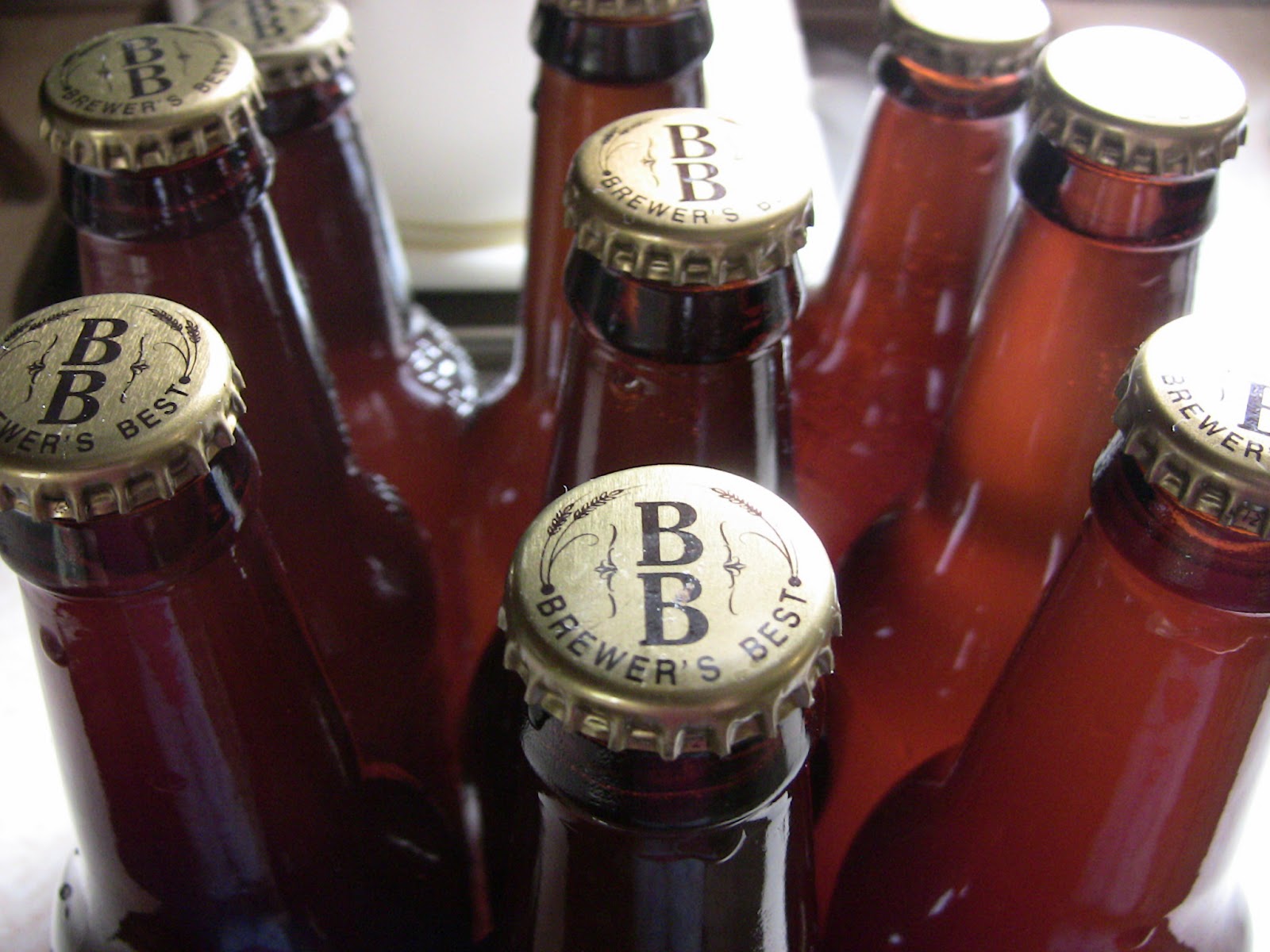 Bethany Likes Cheese Root Beer Kombucha