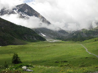 Gravel path continues through an open meadow with flowers, nearby peak with snow and clouds, Gemmipass, Switzerland