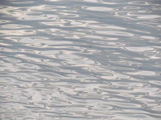 Photo of the Day 4.2.2013