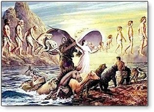 Misterele Reincarnarii 3