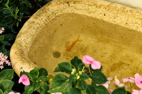 Detalles para decorar un patio o una terraza - Guia de jardin