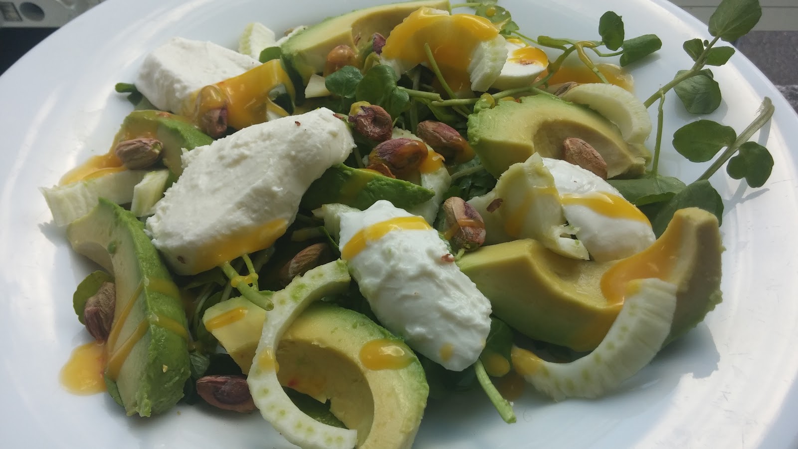 Fennel, Mozzarella & Avocado Salad with a Chilli & Mango Dressing Raw