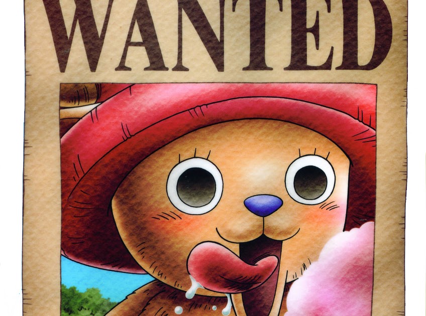 de one piece amigo chopper