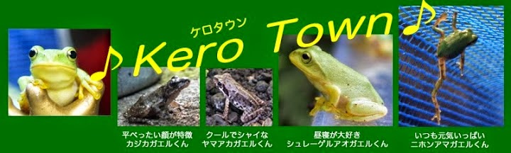 ケロタウン (Kero Town)