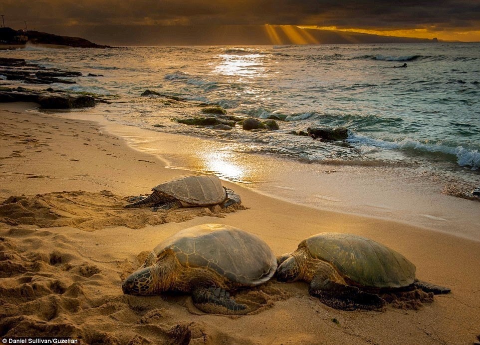 He Endured An Arduous 220 Mile Hike To Capture These Amazing Images… Before They Disappear. He Endured An Arduous 220 Mile Hike To Capture These Amazing Images… Before They Disappear.