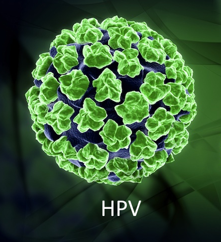 Bosanmalarin Sebebi Hpv Virusu Saglik Haberleri