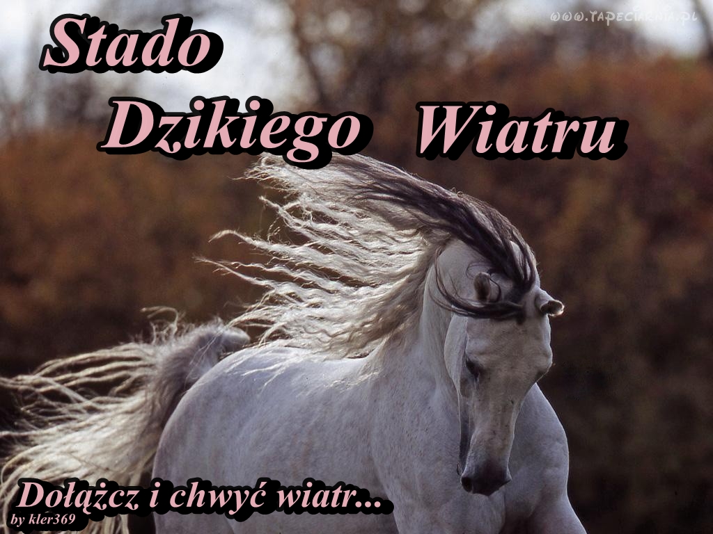 Stado Dzikiego Wiatru 