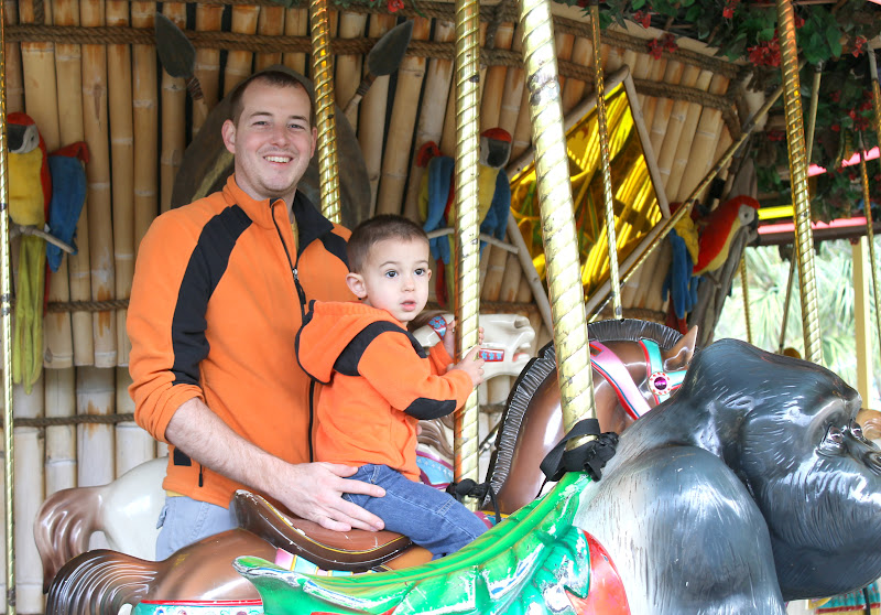 Arrows Sent Forth Lowry Park Zoo Tips for More Fun!