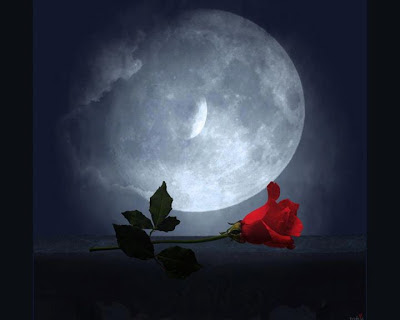 "Regálame un rayito de luna" 5+luna+rosas