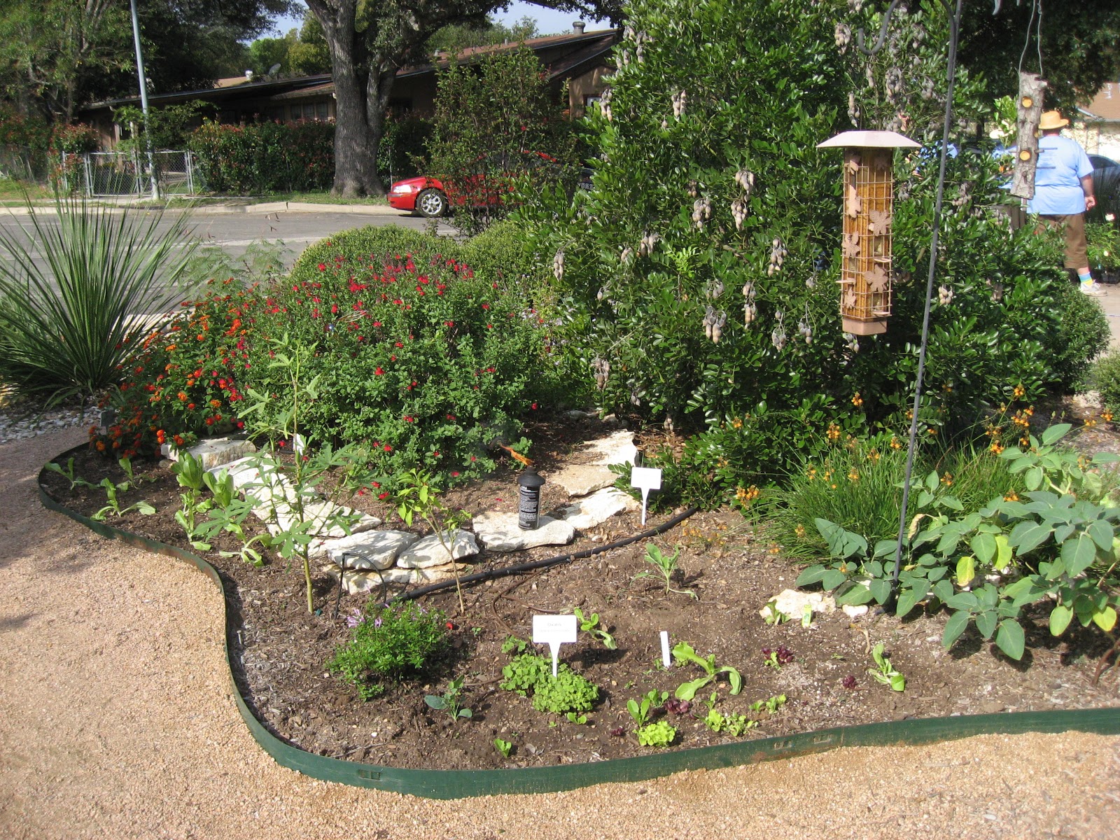 Green House, Good Life: Inside Austin (Edible) Garden Tour