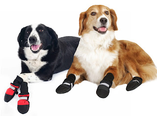 В недружелюбной ко всему живому городской среде ботинки для собак становятся не роскошью и н