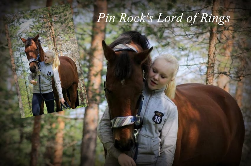 Pin Rock's Lord of Rings