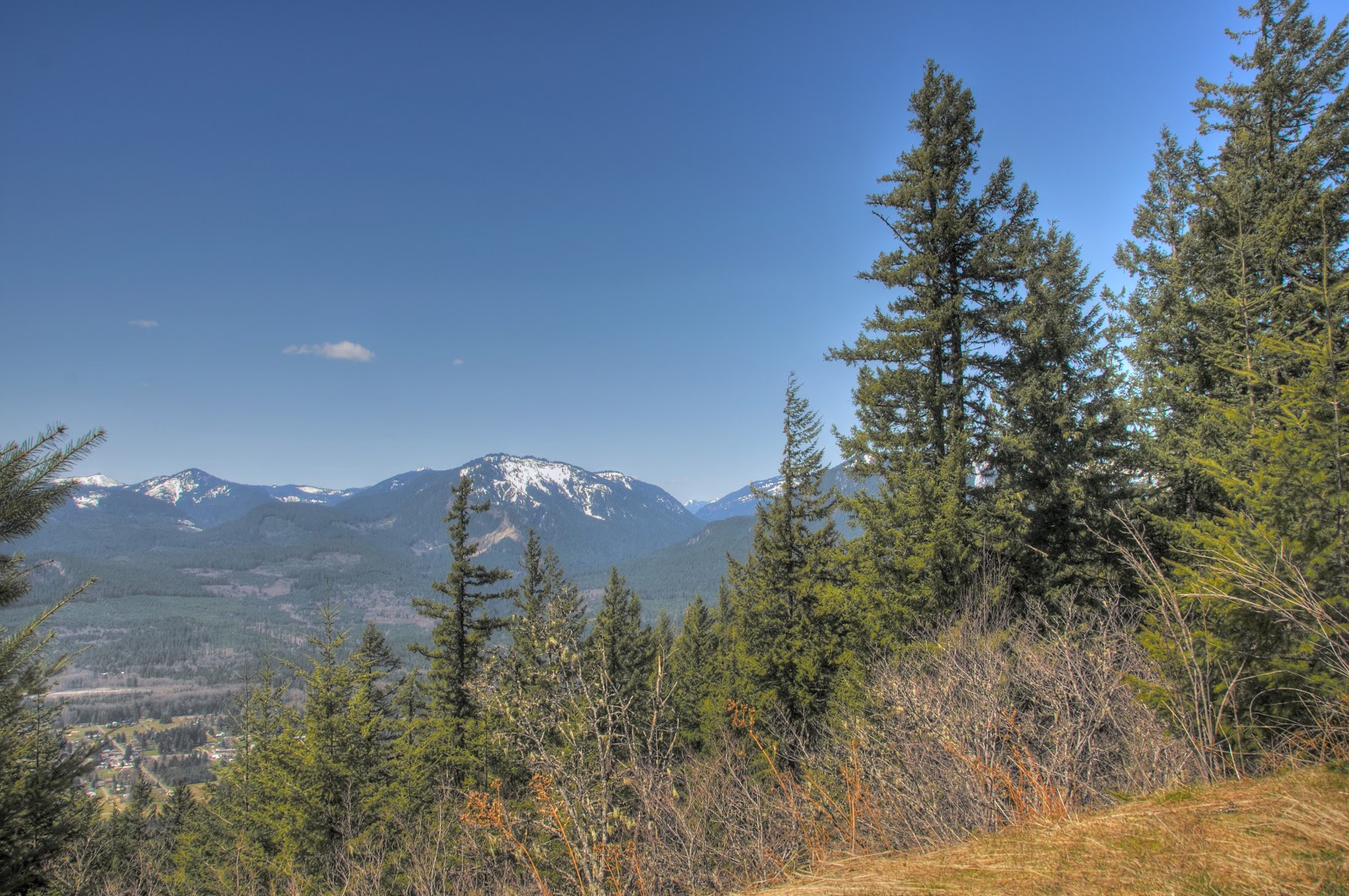 nature big nature small towards packwood lake trail , packwood , wa