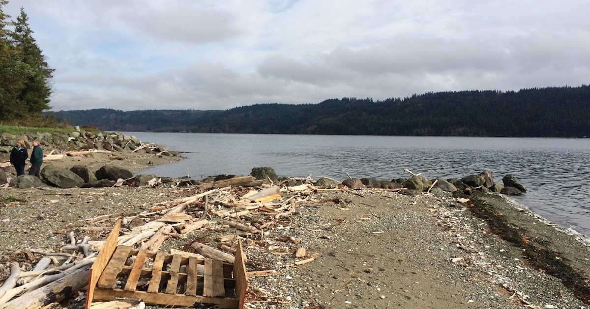 Gravel Beach Dabob Bay