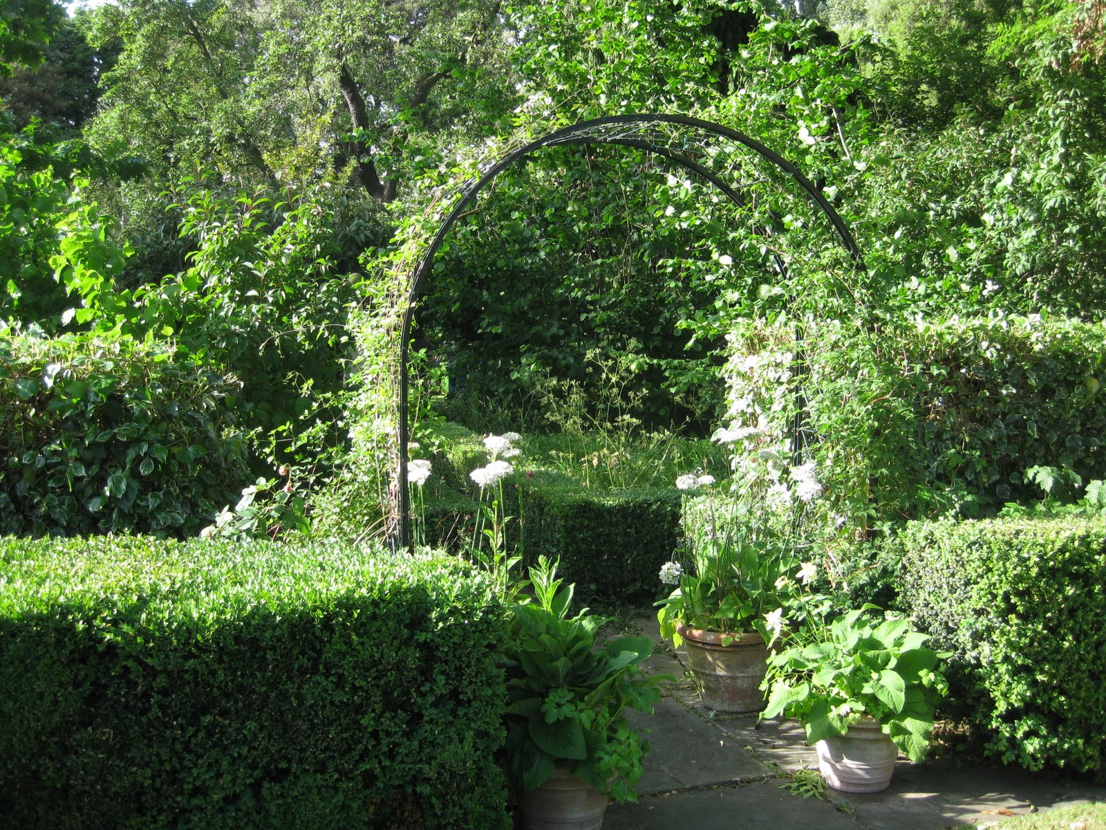 1000+ images about Garden divider ideas on Pinterest