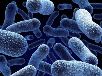 the background information of clostrodium difficle Clostridium difficile web resource manual general information about clostridium difficile this cdc powerpoint presentation provides background information. the background information of clostrodium difficle Clostridium difficile web resource manual general information about clostridium difficile this cdc powerpoint presentation provides background information.