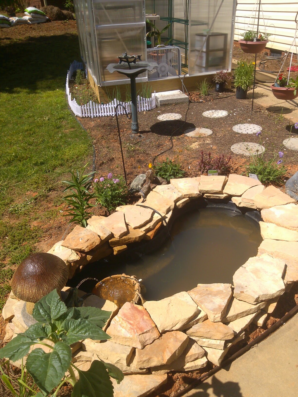 Back Yard Garden Spot