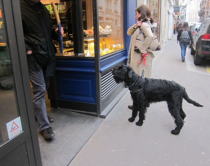 paris breakfasts Paris Dogs