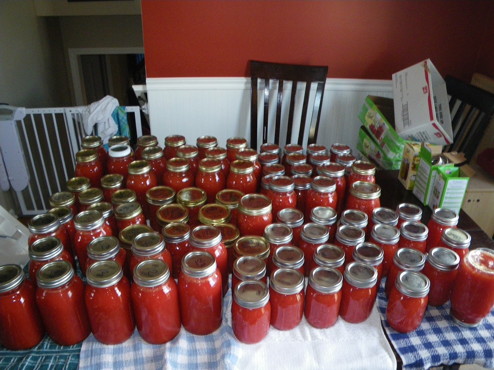 Mom in Shining Armor Adventures in Canning Tomato Juice