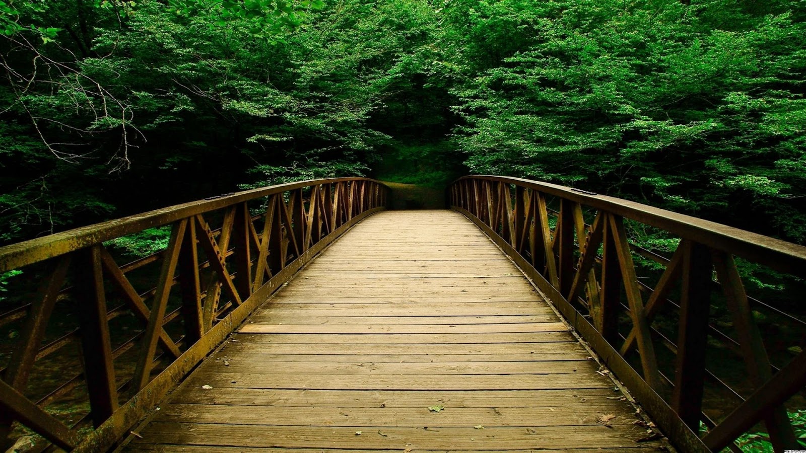 Beautiful Nature Wallpapers Beautiful Nature Wallpapers