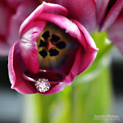 Also, I love my engagement (wedding) ring. I love love love it! (tulips and ring)