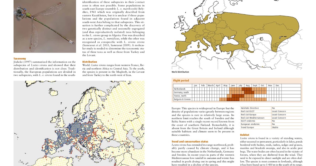 the taxonomy and distribution of dragonflies Odonata of india (wwwindianodonata in insect taxonomy, species revisions are inevitable recently, bedjanic and colleagues revised all species in the family platystictidae -mitra et al (2010) the status and distribution of dragonflies and damselflies (odonata. the taxonomy and distribution of dragonflies Odonata of india (wwwindianodonata in insect taxonomy, species revisions are inevitable recently, bedjanic and colleagues revised all species in the family platystictidae -mitra et al (2010) the status and distribution of dragonflies and damselflies (odonata.