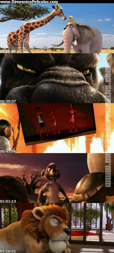 DimensionPeliculas.com