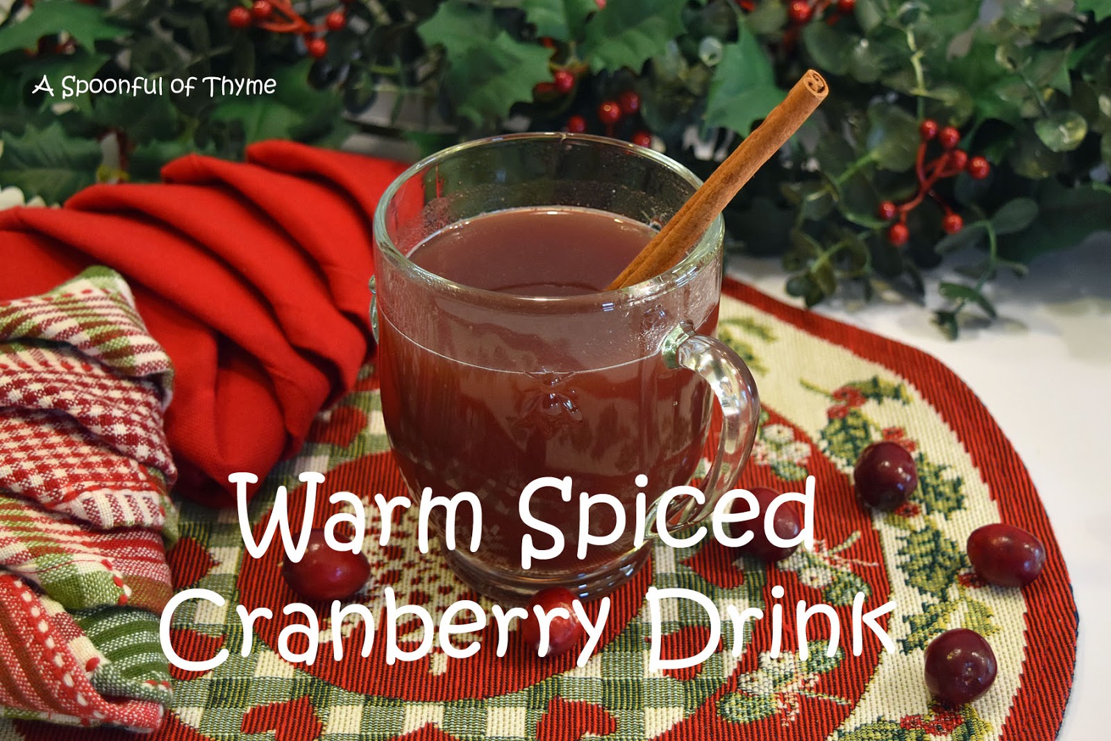Warm Spicy Cranberry Drink