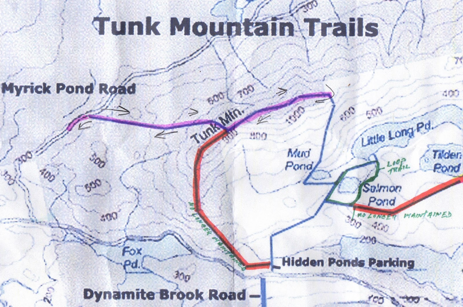 Hiking in Maine with Kelley 8/6/13 Tunk Mountain