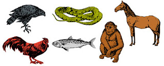 Ekosistem, kompoenen-komponen ekosistem dan satuan ekosistem