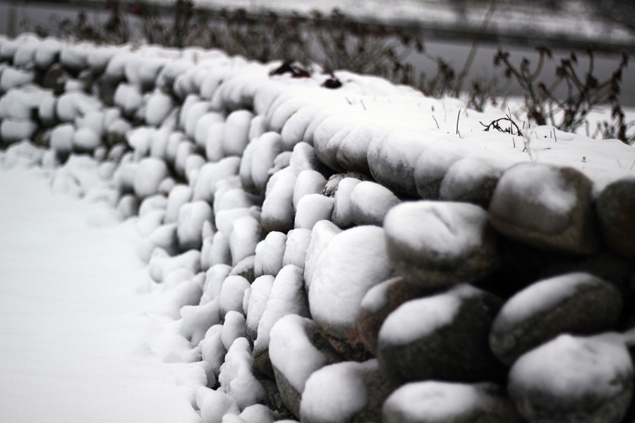 gå på bio med dejt