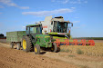 Claas Lexion 540. Harvesting thistles