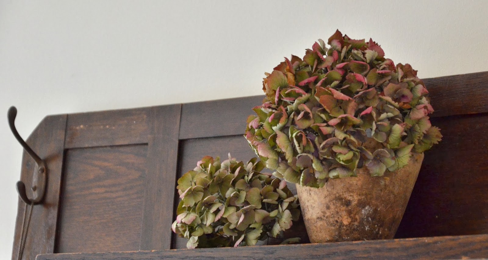 Chrissie Crafts Dried hydrangeas...