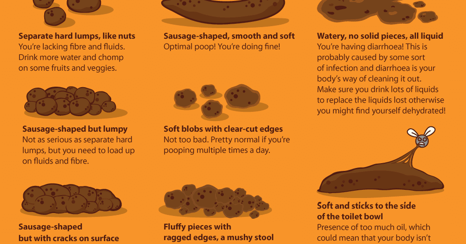 Infographic Know Your Poop? Health Tips In Pics