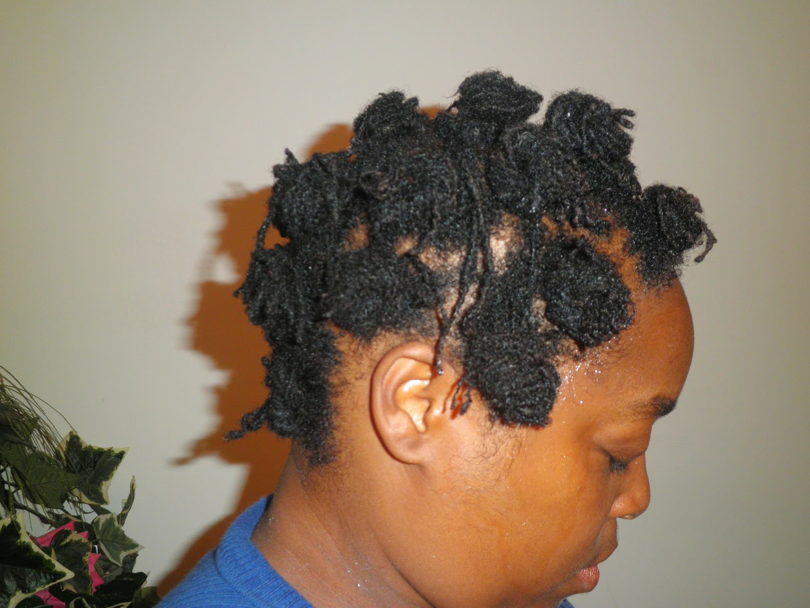 PhenomenalhairCare Bantu Knots Loc Photo Shoot