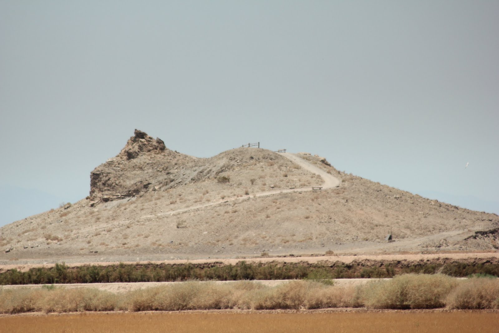 Crawling Around Geology With My Camera Another Visit to the Salton