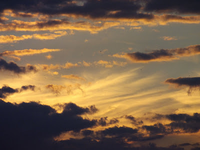 gold clouds sunset