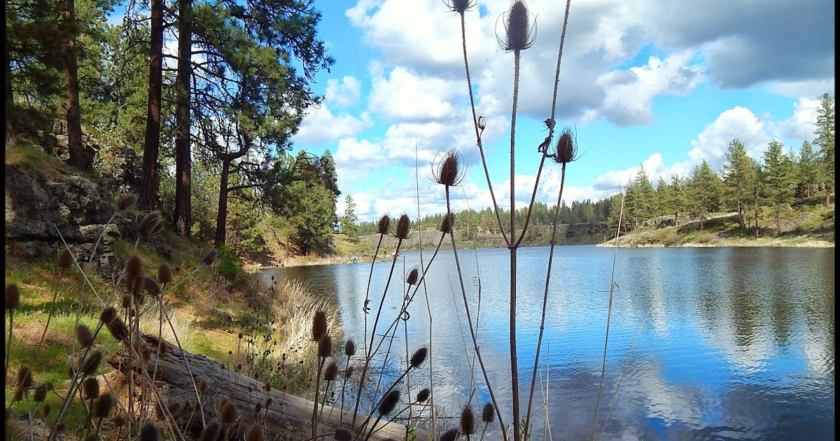 The Back Porch View Hog Lake in the FIsh Trap BLM, WA