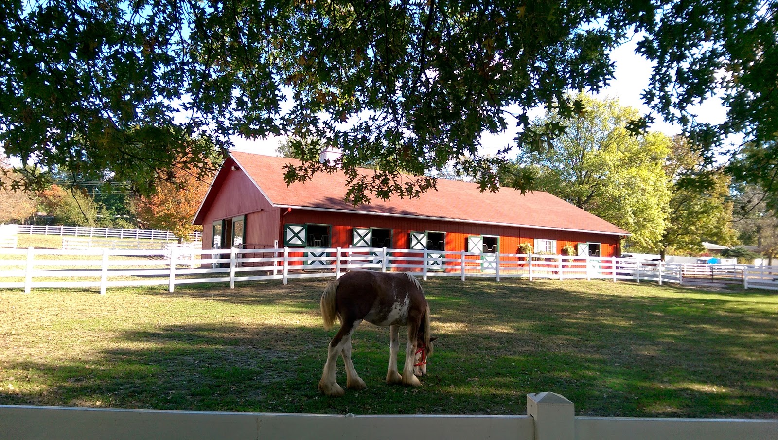 Craves, Caves, & Graves Grant's Farm
