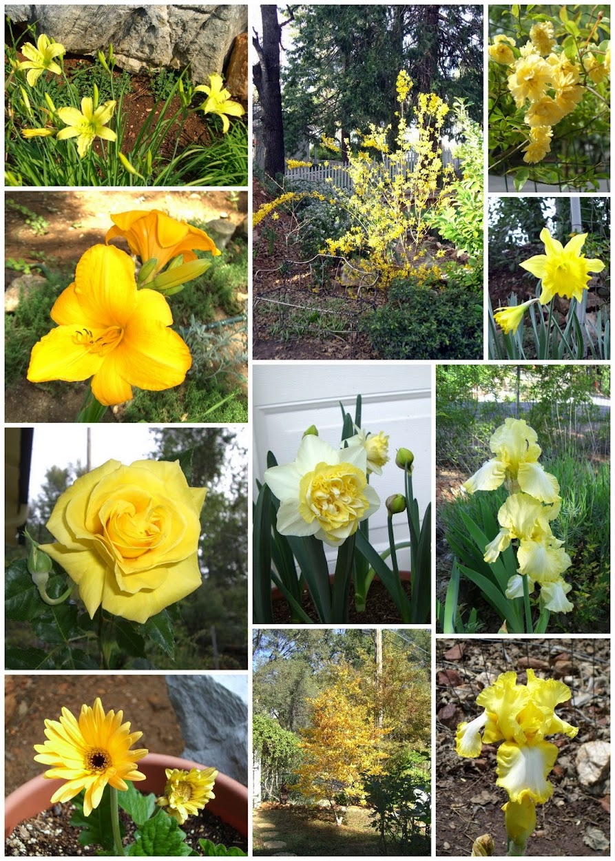 YELLOW FLOWER COLLAGE 2009