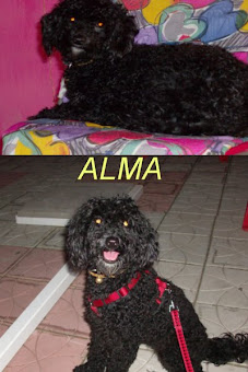 ALMA