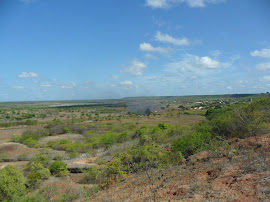 Resíduos Sólidos