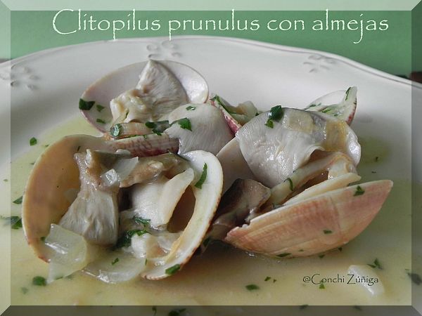 Clitopilus Prunulus Con Almejas