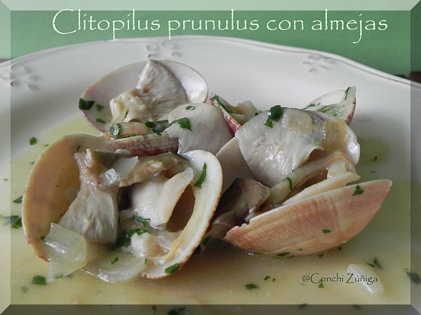 Clitopilus Prunulus Con Almejas
