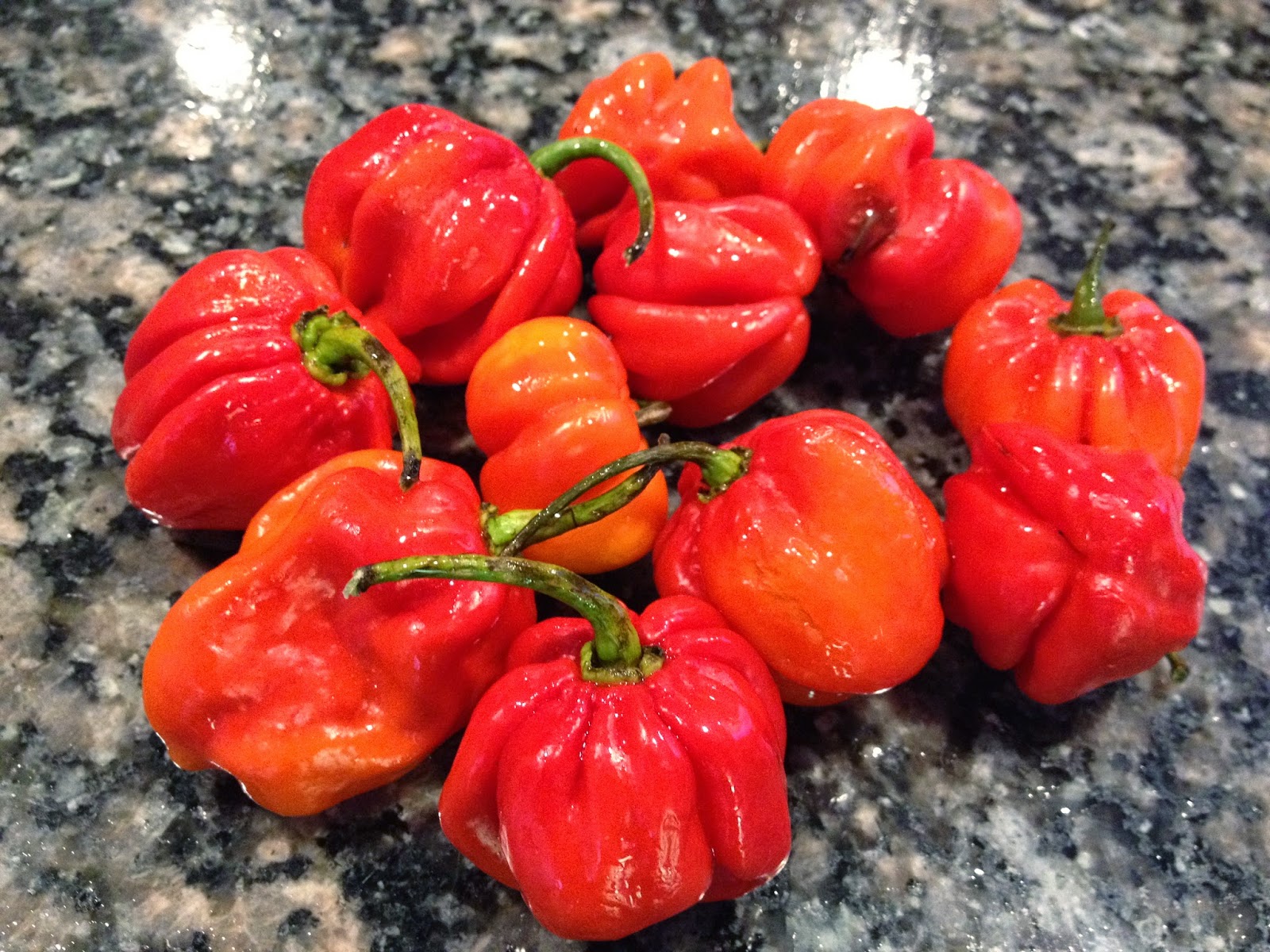 Thermomix Foodie Canada Habanero Chilli Sauce