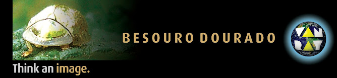 besouro dourado van ray